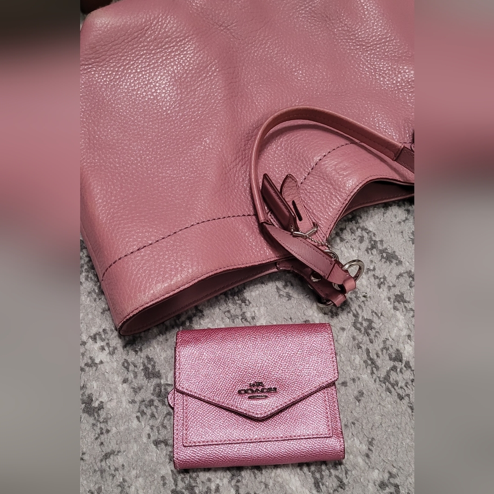 Pink Coach Bag 2010, with newer Pink Sparkly Wallet